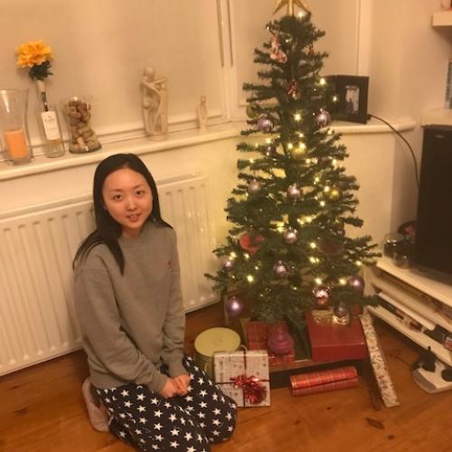 Embrace the Holiday Spirit with Living Learning English Home Tuition Courses at Christmas and New Year