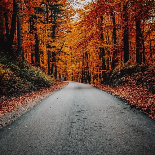 Autumn in the UK...